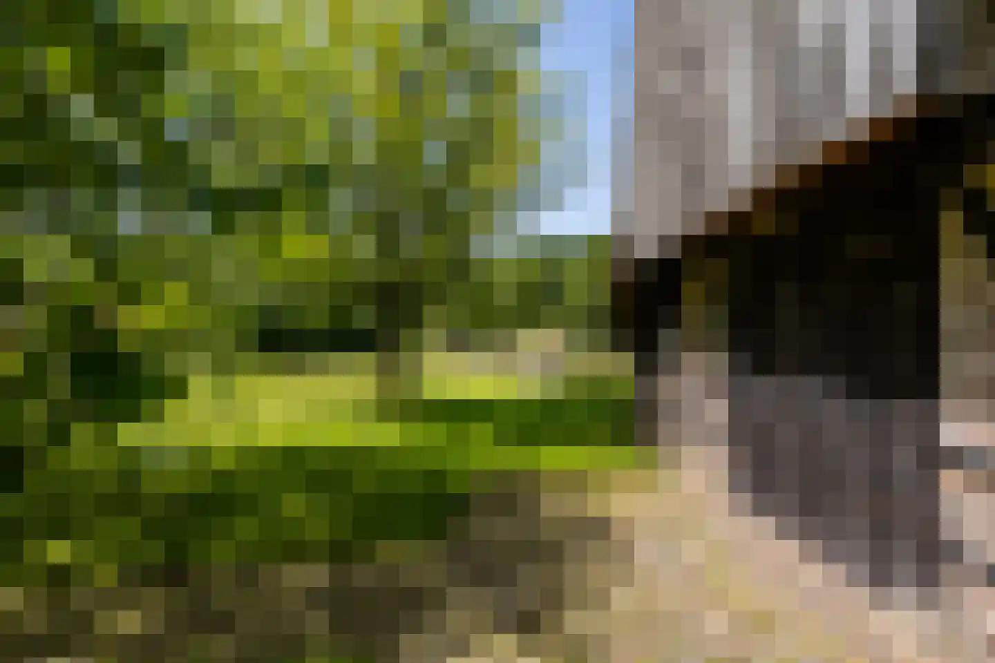 Lubberdinksweg 15 Denekamp thumbnail 42