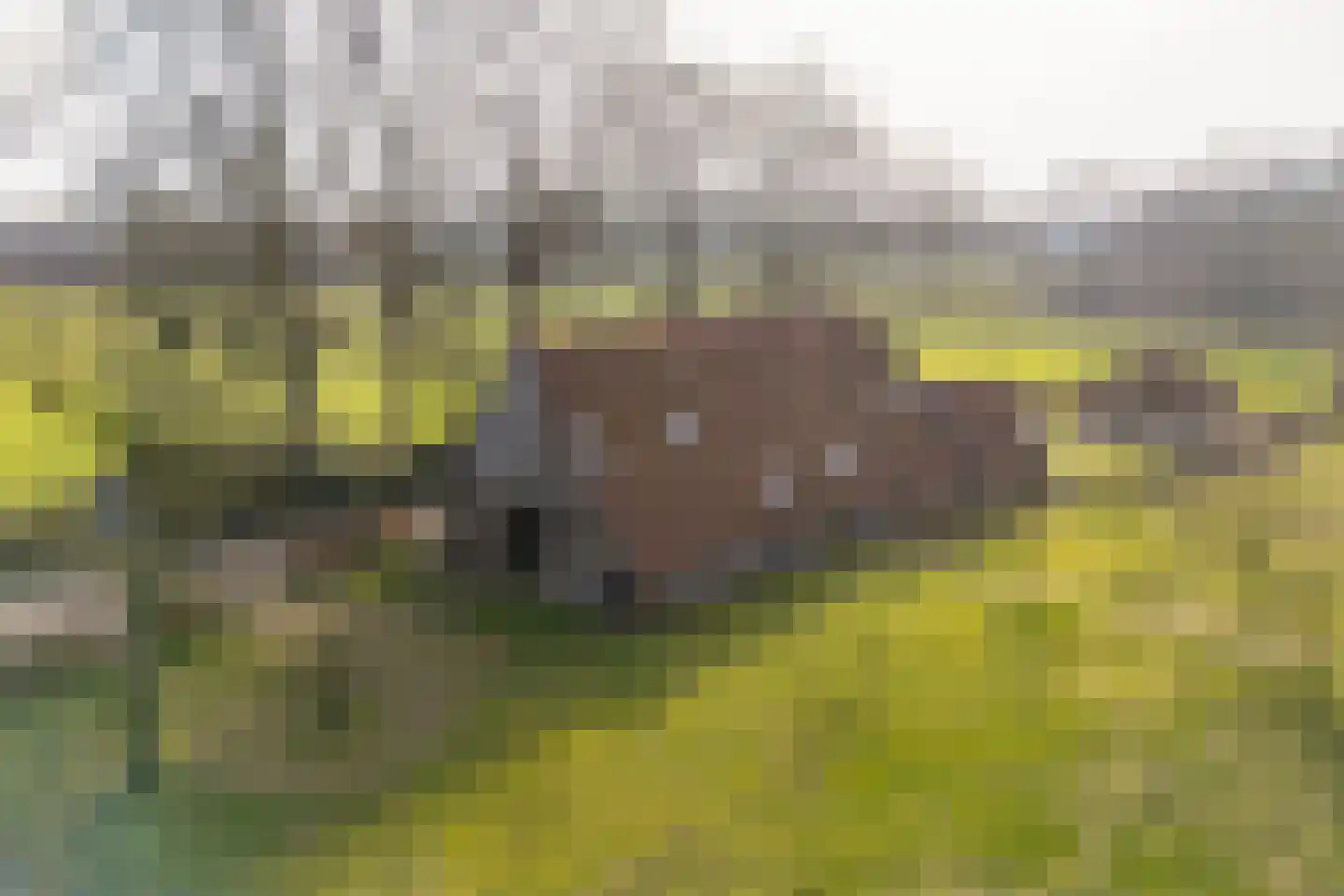Lubberdinksweg 15 Denekamp thumbnail 43