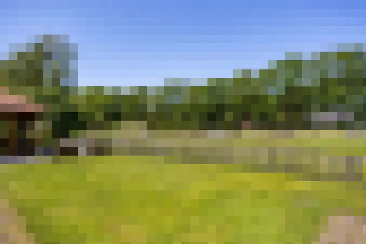 Lubberdinksweg 15 Denekamp thumbnail 43