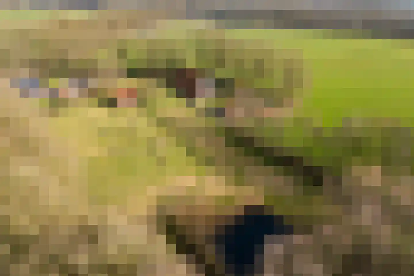 Lubberdinksweg 15 Denekamp thumbnail 44