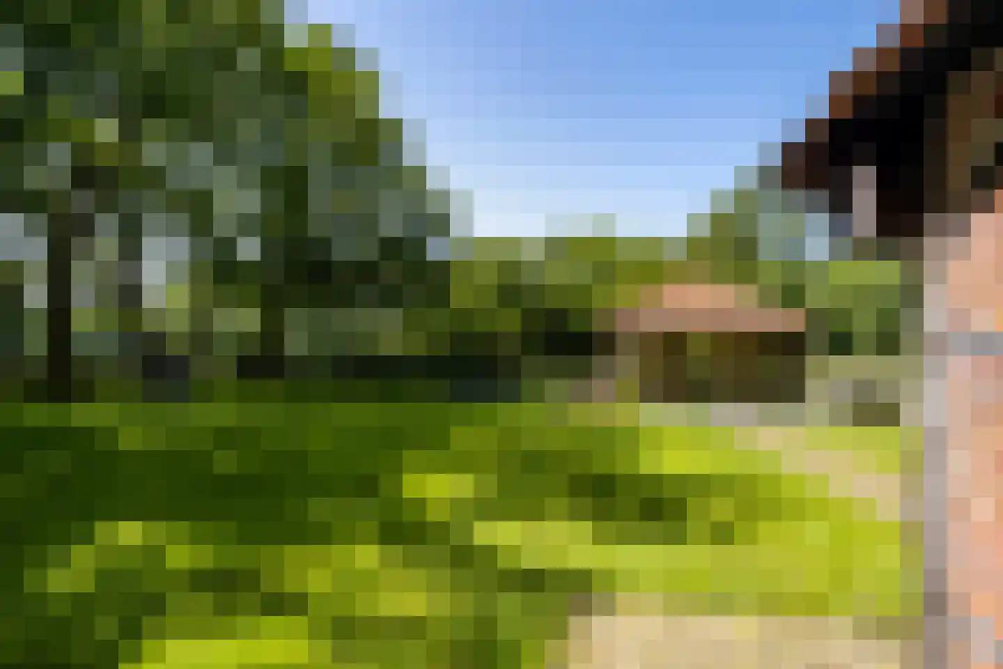 Lubberdinksweg 15 Denekamp thumbnail 44