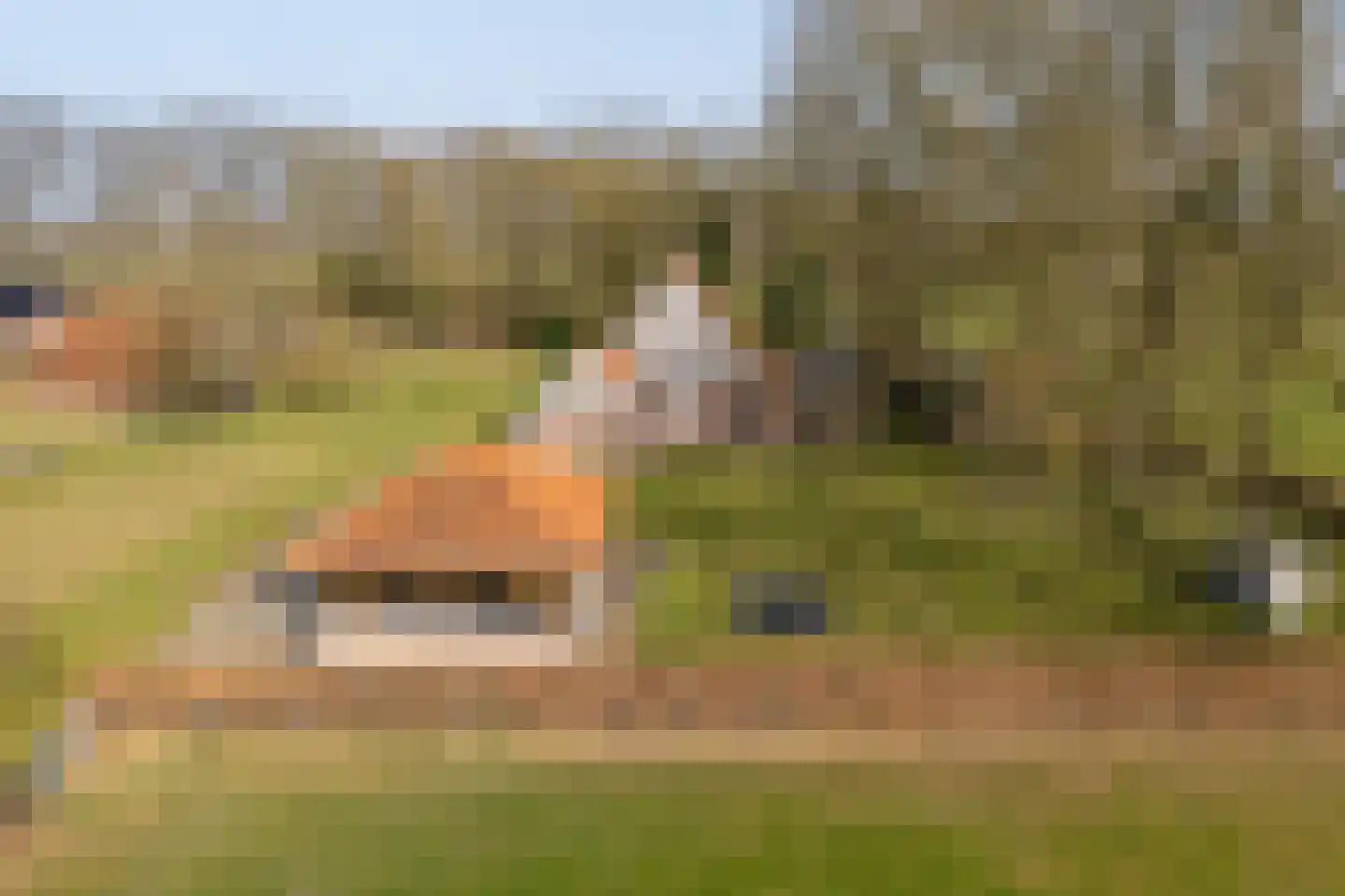 Lubberdinksweg 15 Denekamp thumbnail 45