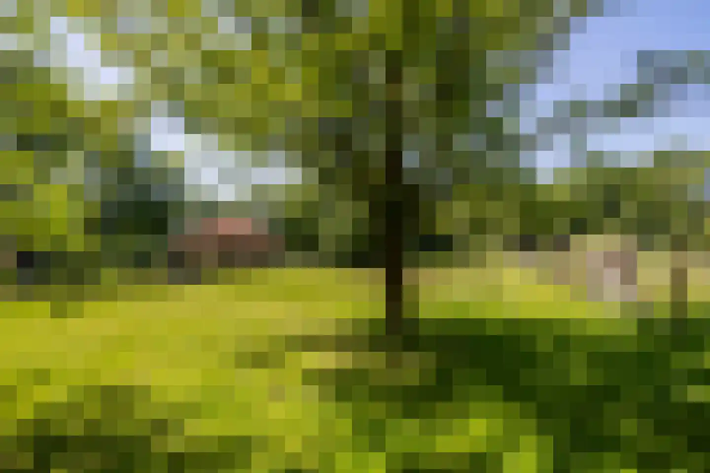 Lubberdinksweg 15 Denekamp thumbnail 45