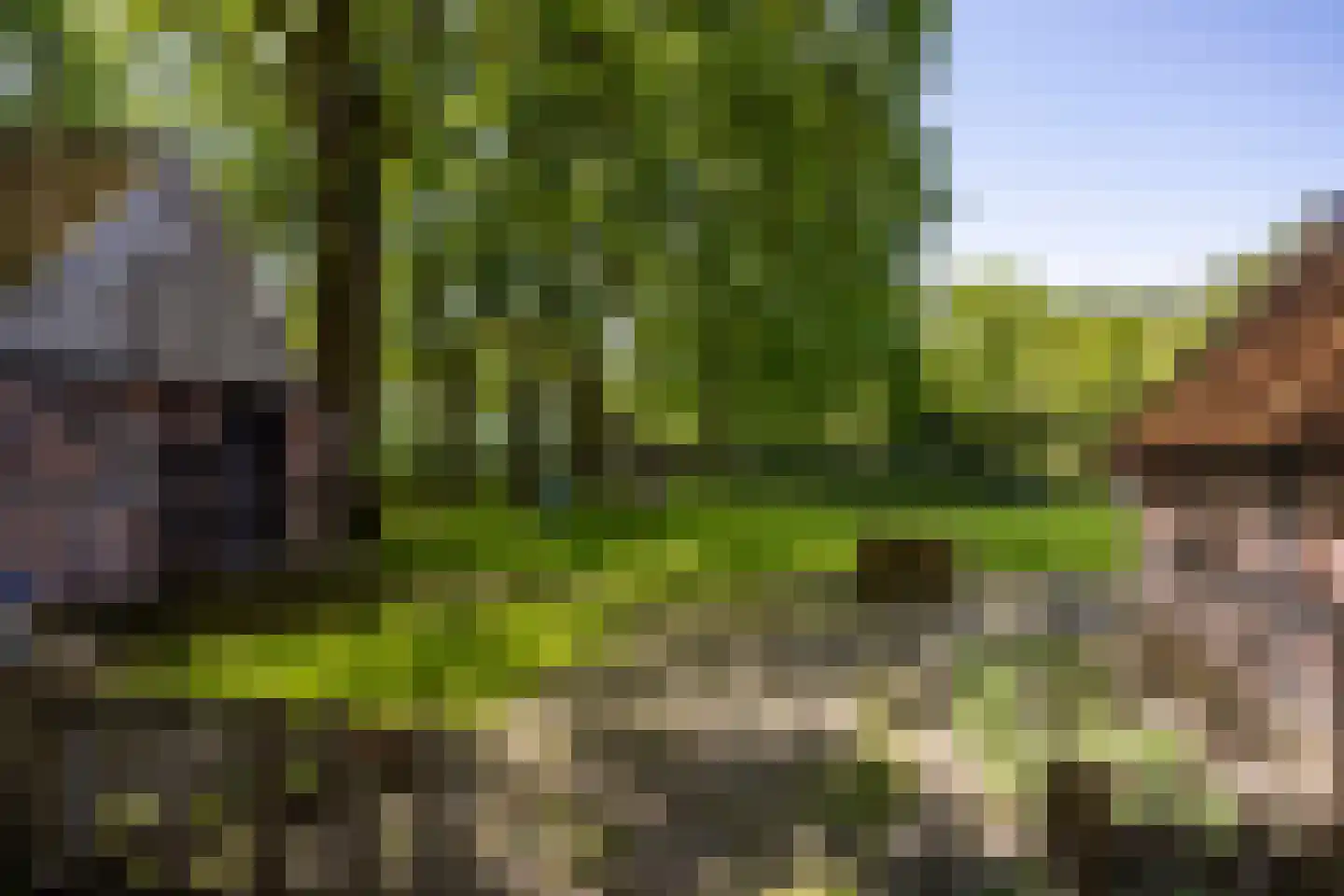 Lubberdinksweg 15 Denekamp thumbnail 46