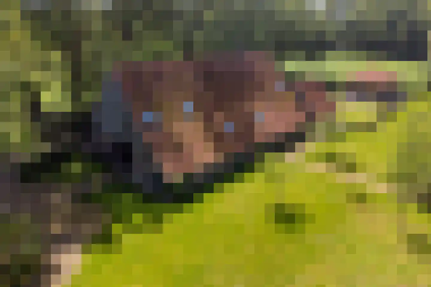 Lubberdinksweg 15 Denekamp thumbnail 48