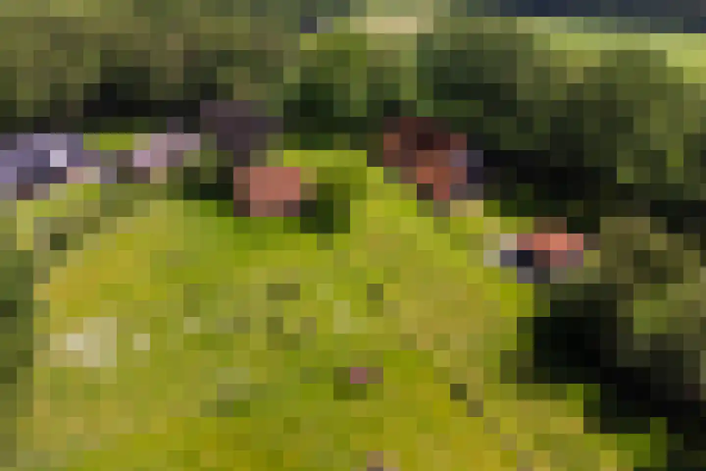 Lubberdinksweg 15 Denekamp thumbnail 49