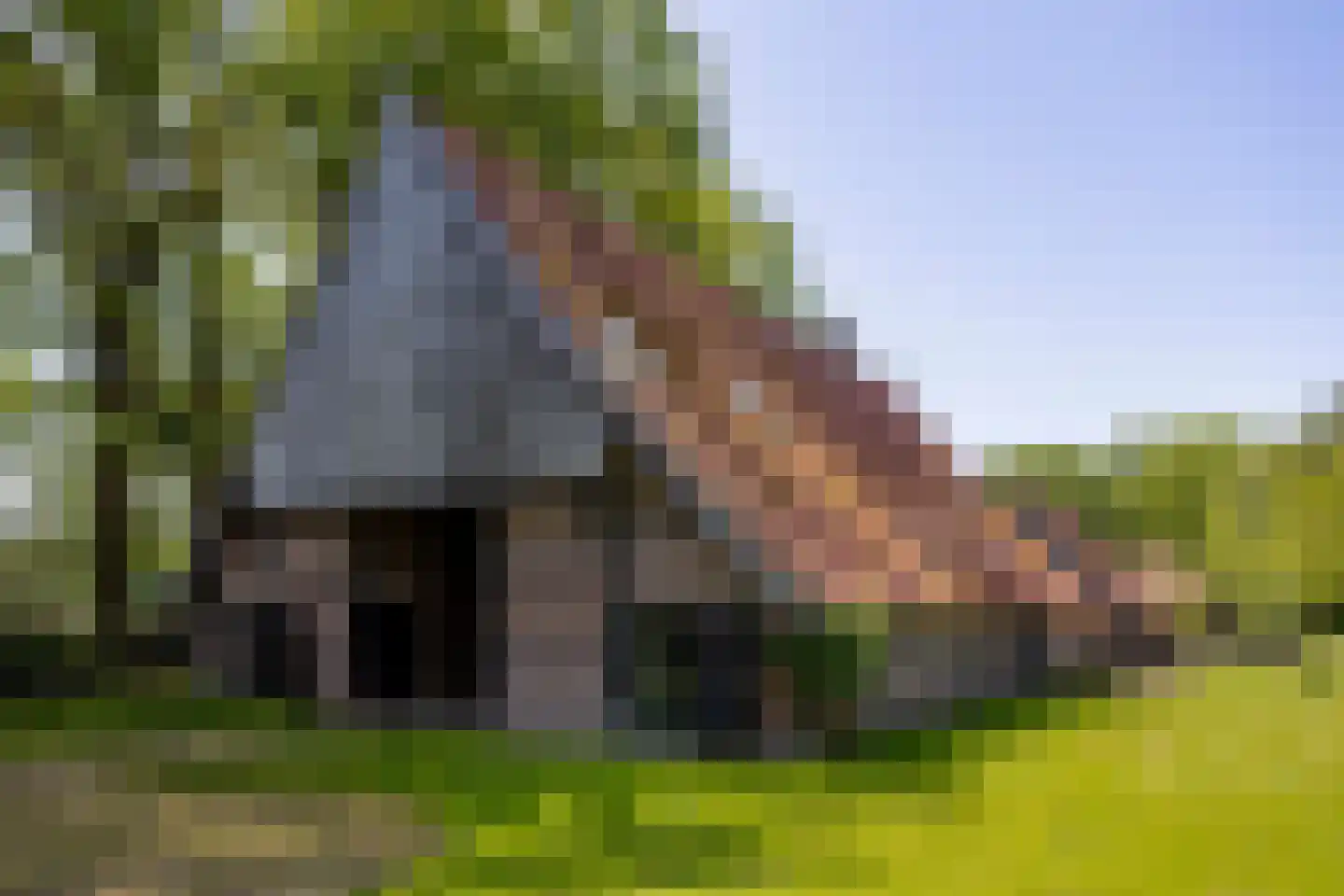 Lubberdinksweg 15 Denekamp thumbnail 5