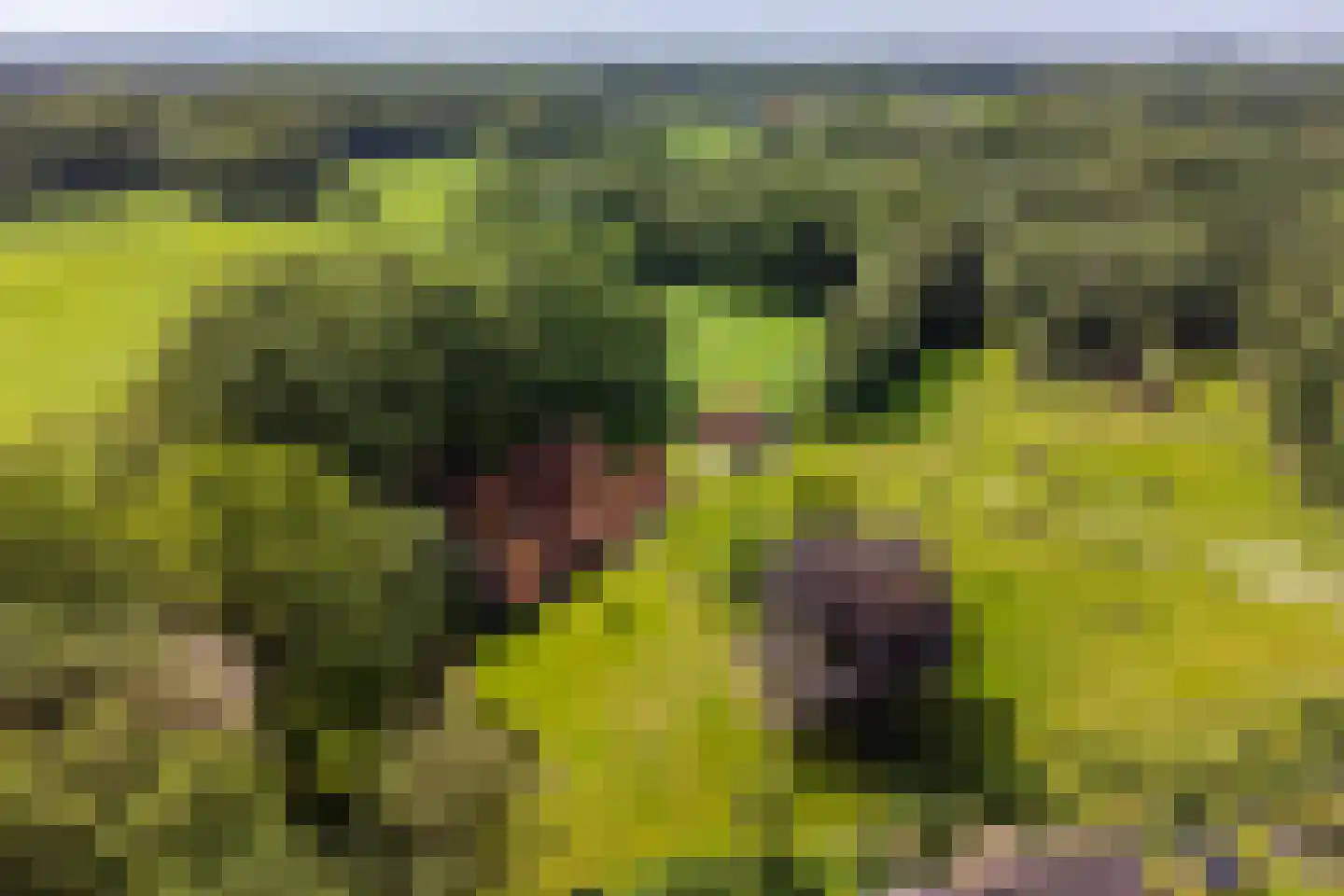 Lubberdinksweg 15 Denekamp thumbnail 50