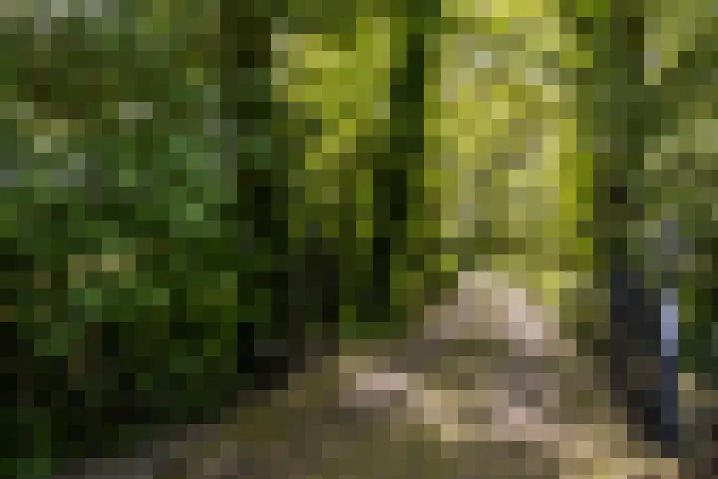 Lubberdinksweg 15 Denekamp thumbnail 6