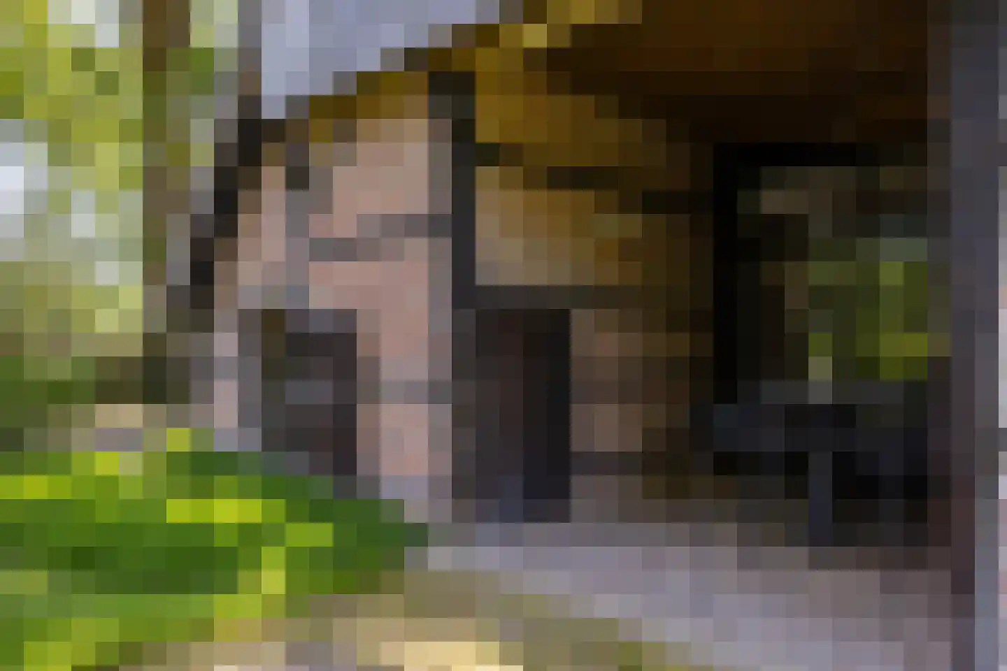 Lubberdinksweg 15 Denekamp thumbnail 8