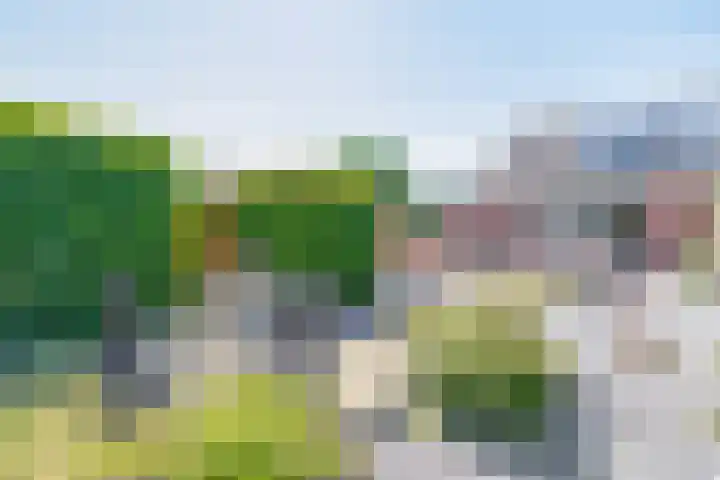 Lubbermanswijk 17 Oude Pekela thumbnail 34