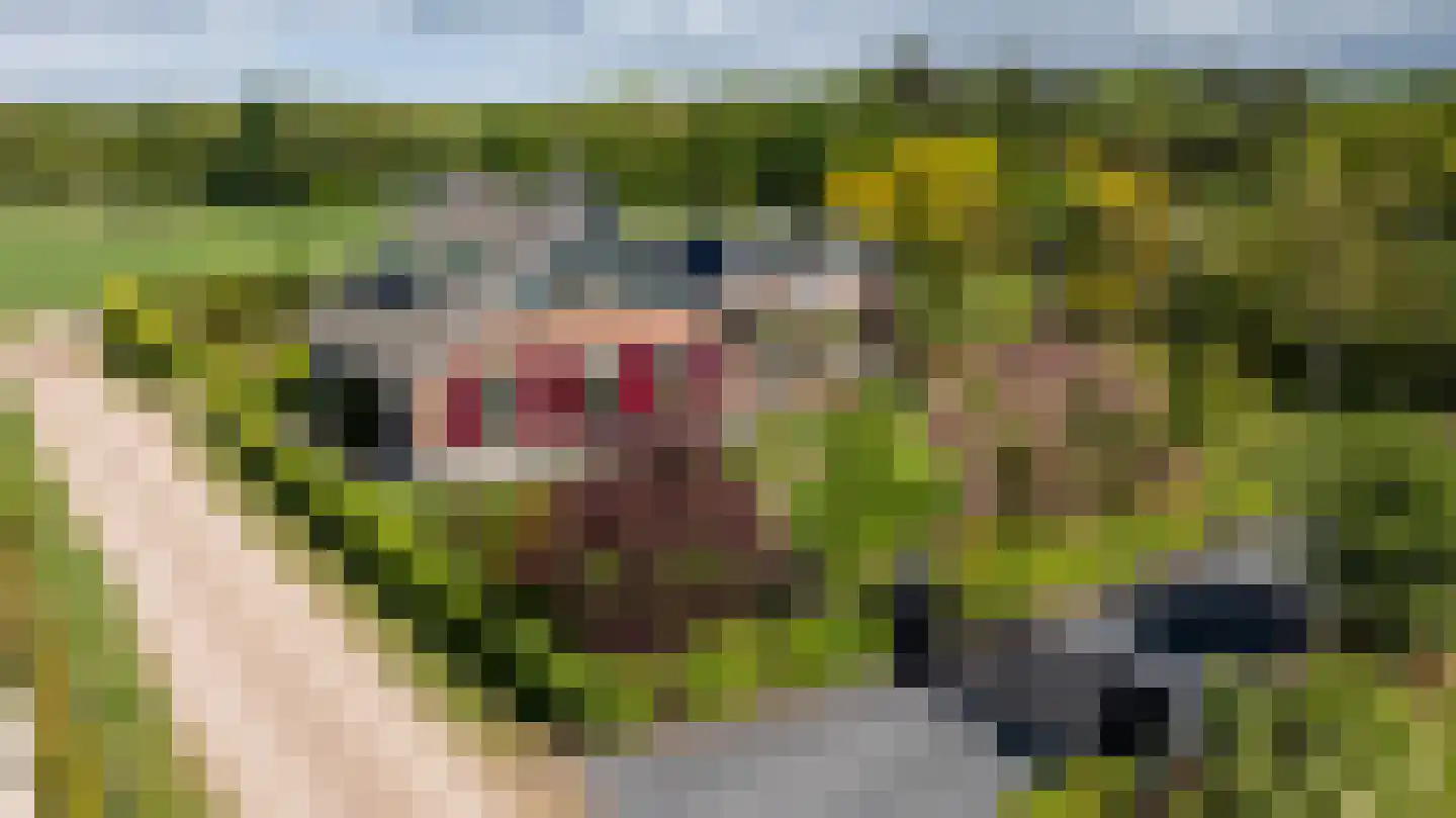Lubberslaan 18 Doetinchem thumbnail 68
