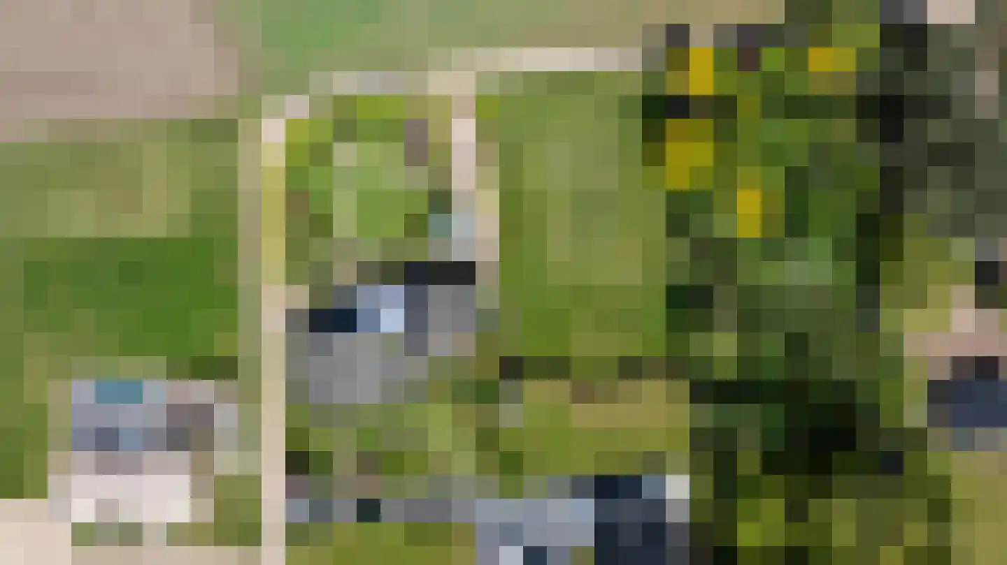 Lubberslaan 18 Doetinchem thumbnail 70