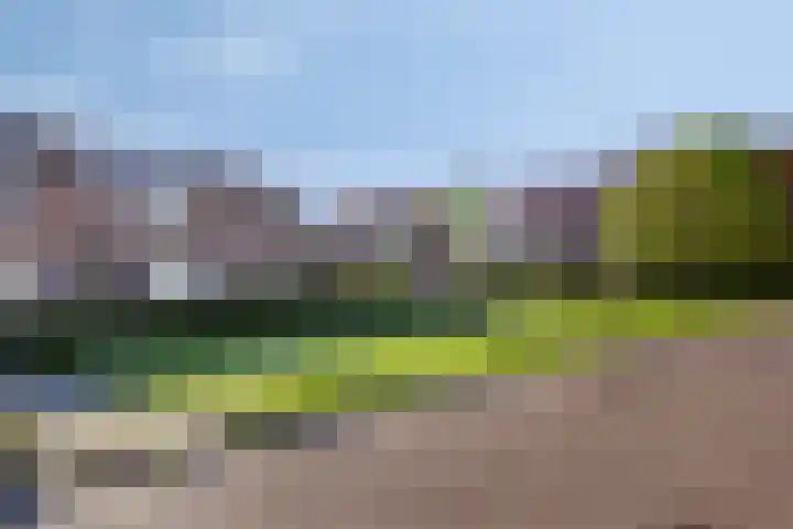 Lubecker Bocht 35 Veendam thumbnail 4