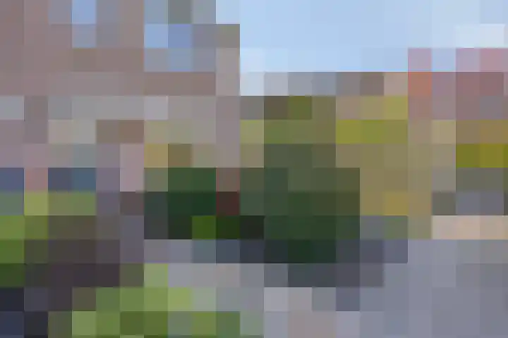 Lubecker Bocht 35 Veendam thumbnail 5