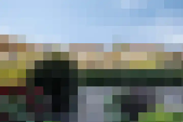 Lubecker Bocht 35 Veendam thumbnail 9