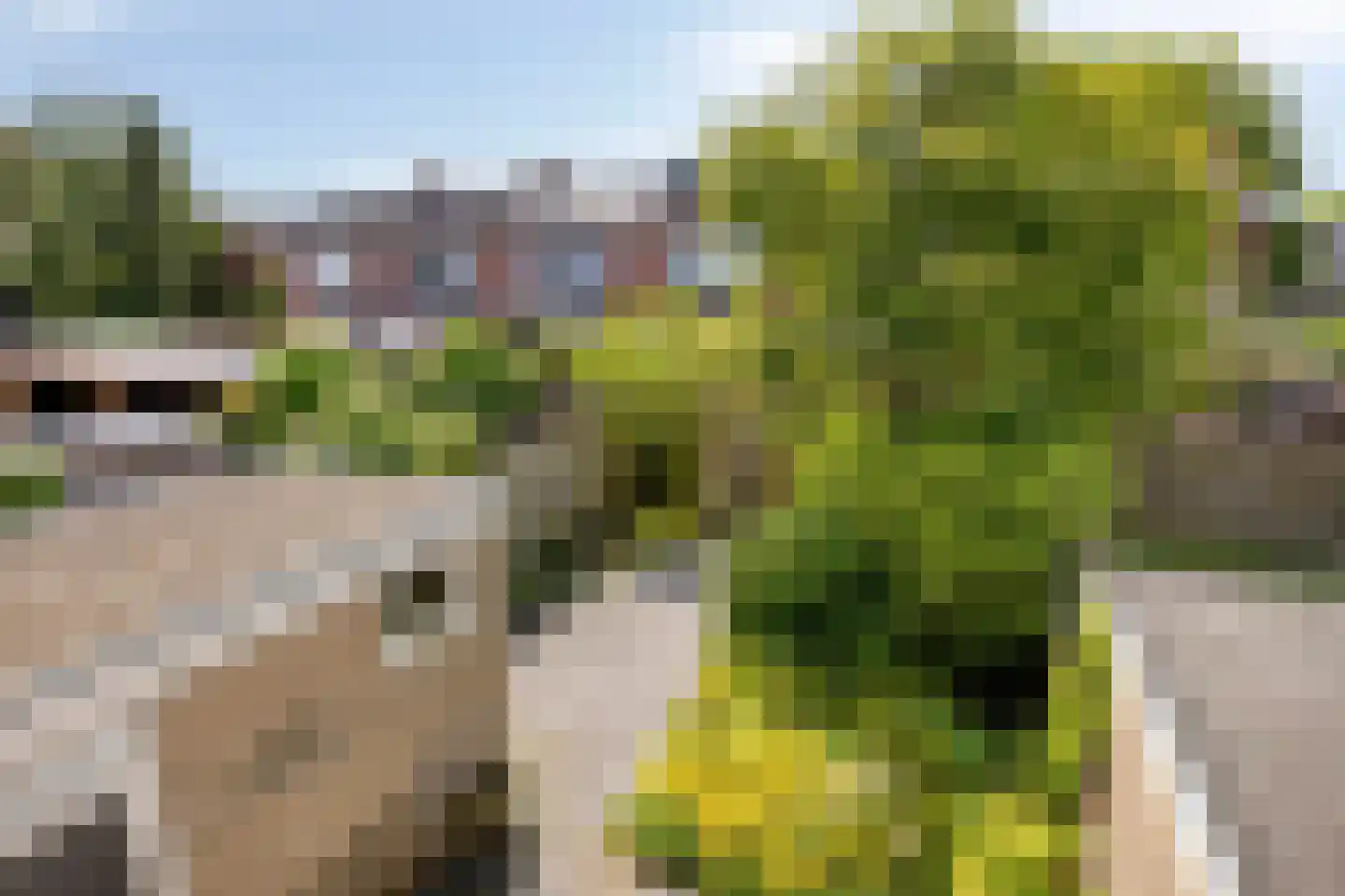 Lubecker Bocht 4 Veendam thumbnail 20