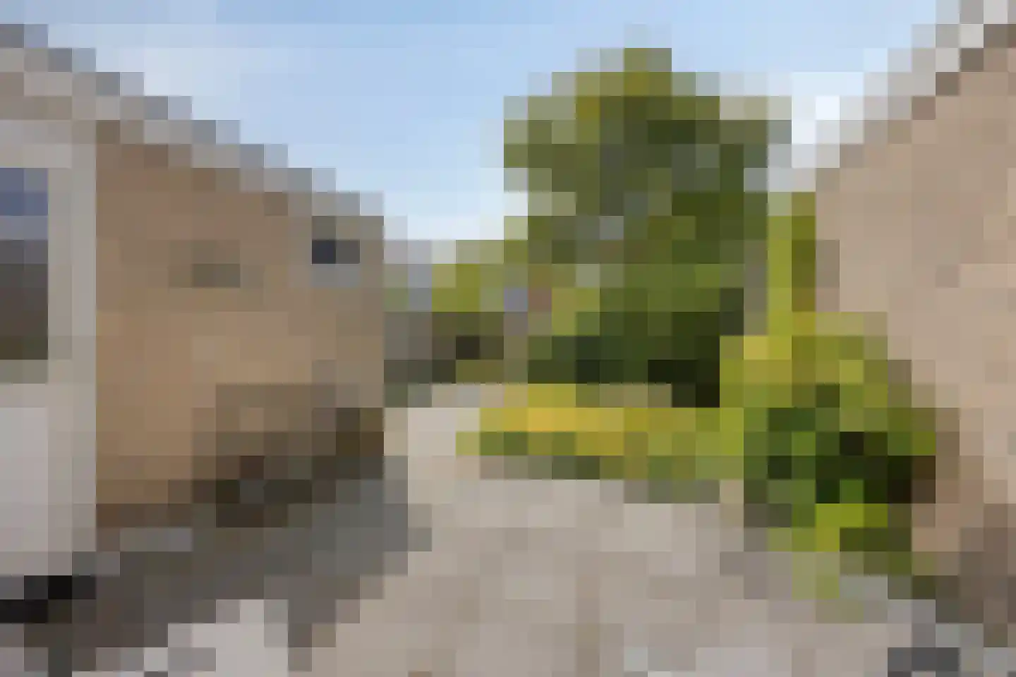 Lubecker Bocht 4 Veendam thumbnail 30