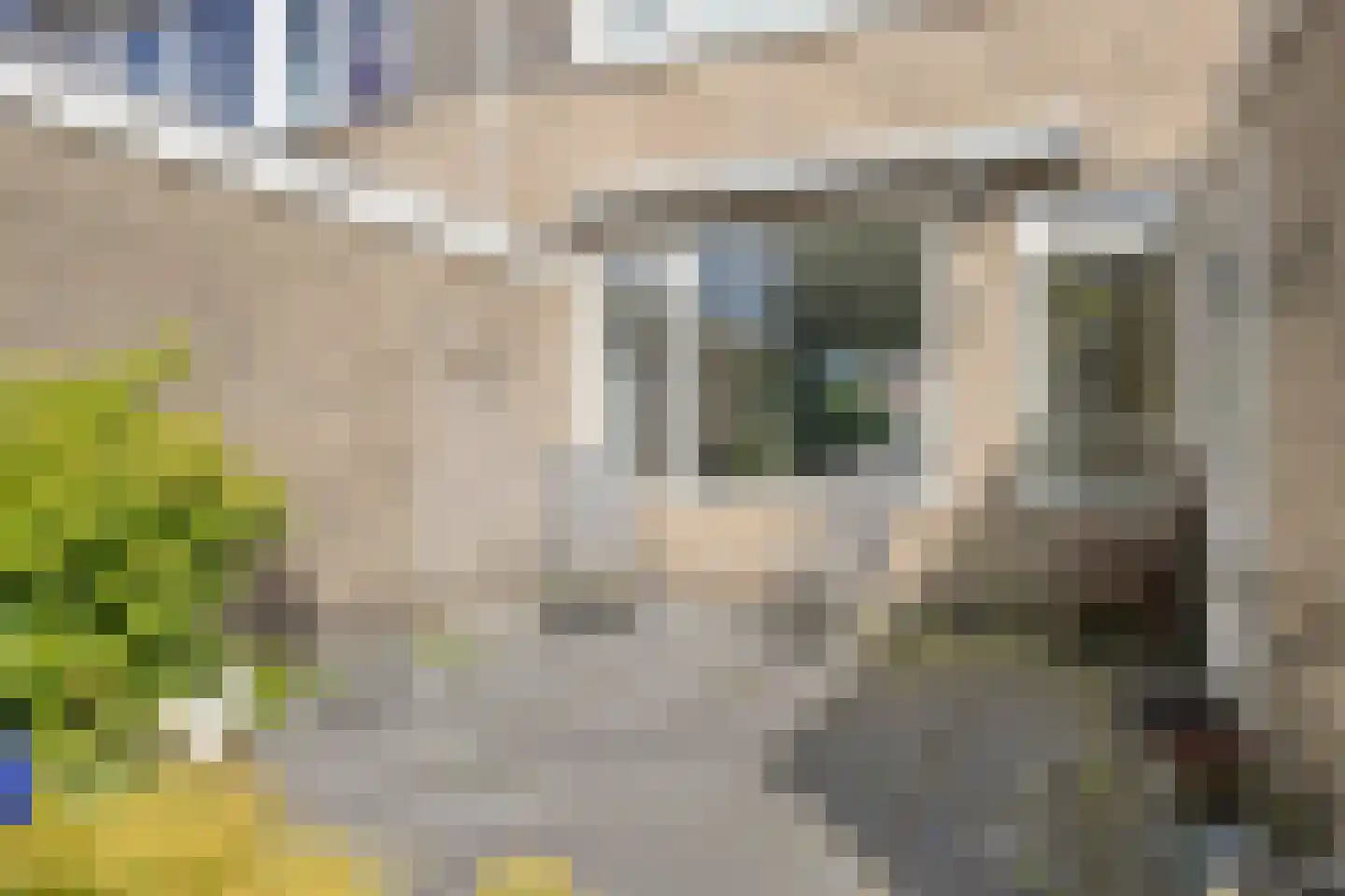 Lubecker Bocht 4 Veendam thumbnail 33