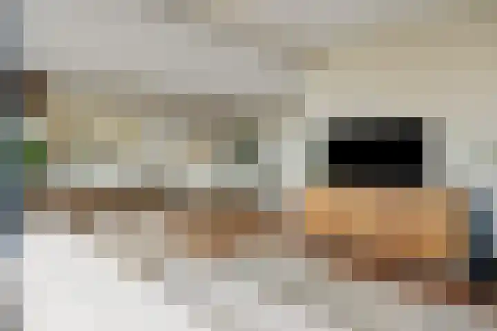 Lucas Gasselstraat 22 Rosmalen thumbnail 10