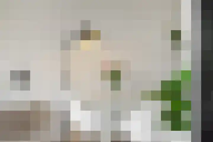 Lucas Gasselstraat 22 Rosmalen thumbnail 11