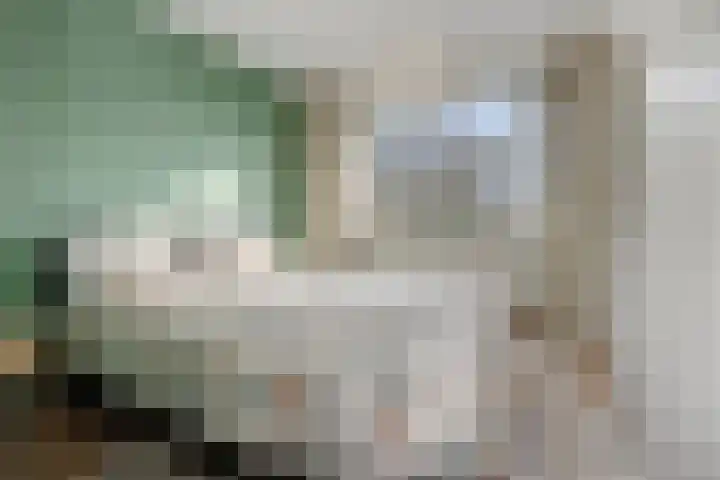 Lucas Gasselstraat 22 Rosmalen thumbnail 13