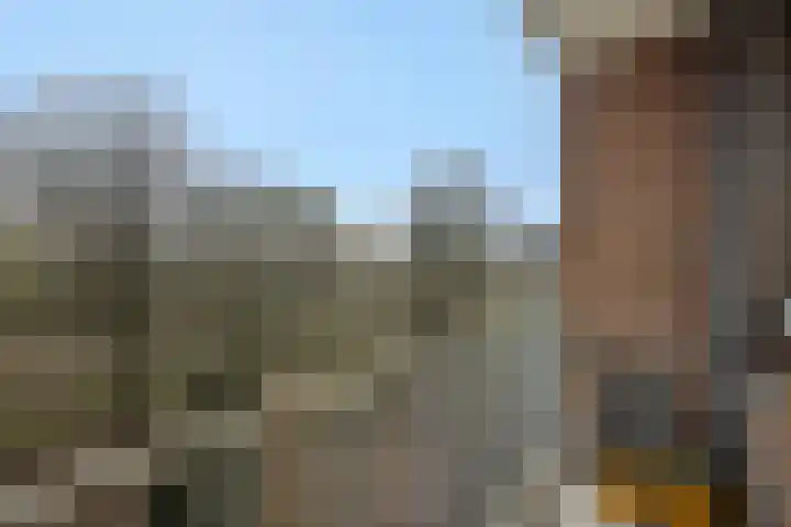Lucas Gasselstraat 22 Rosmalen thumbnail 20