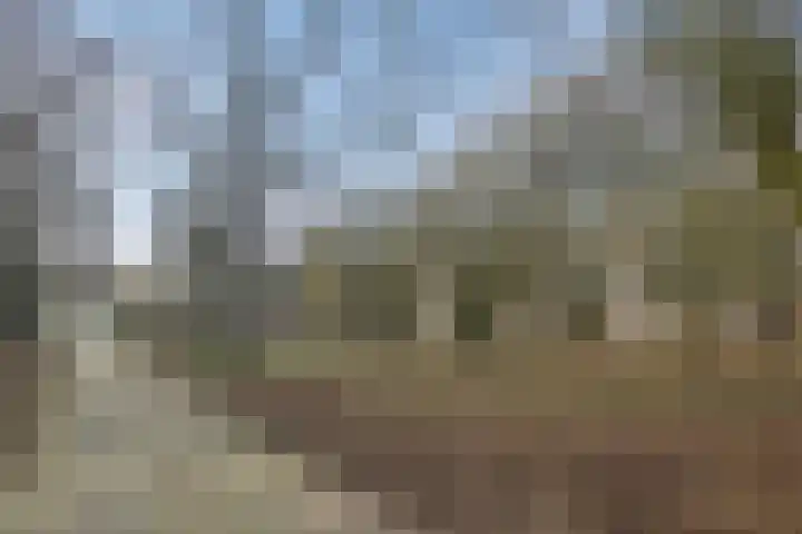 Lucas Gasselstraat 22 Rosmalen thumbnail 4