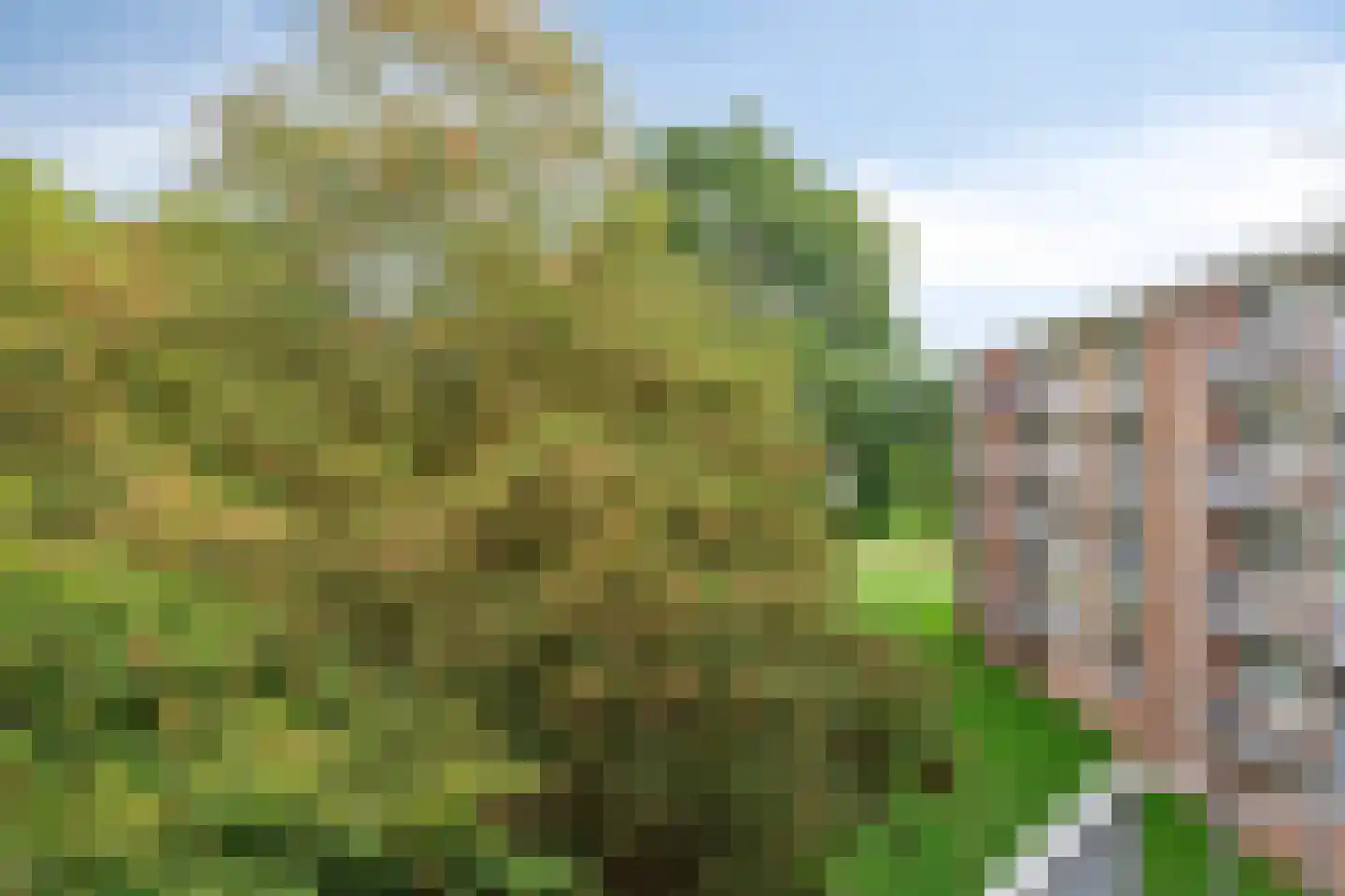 Lucas Gasselstraat 30 Rosmalen thumbnail 11