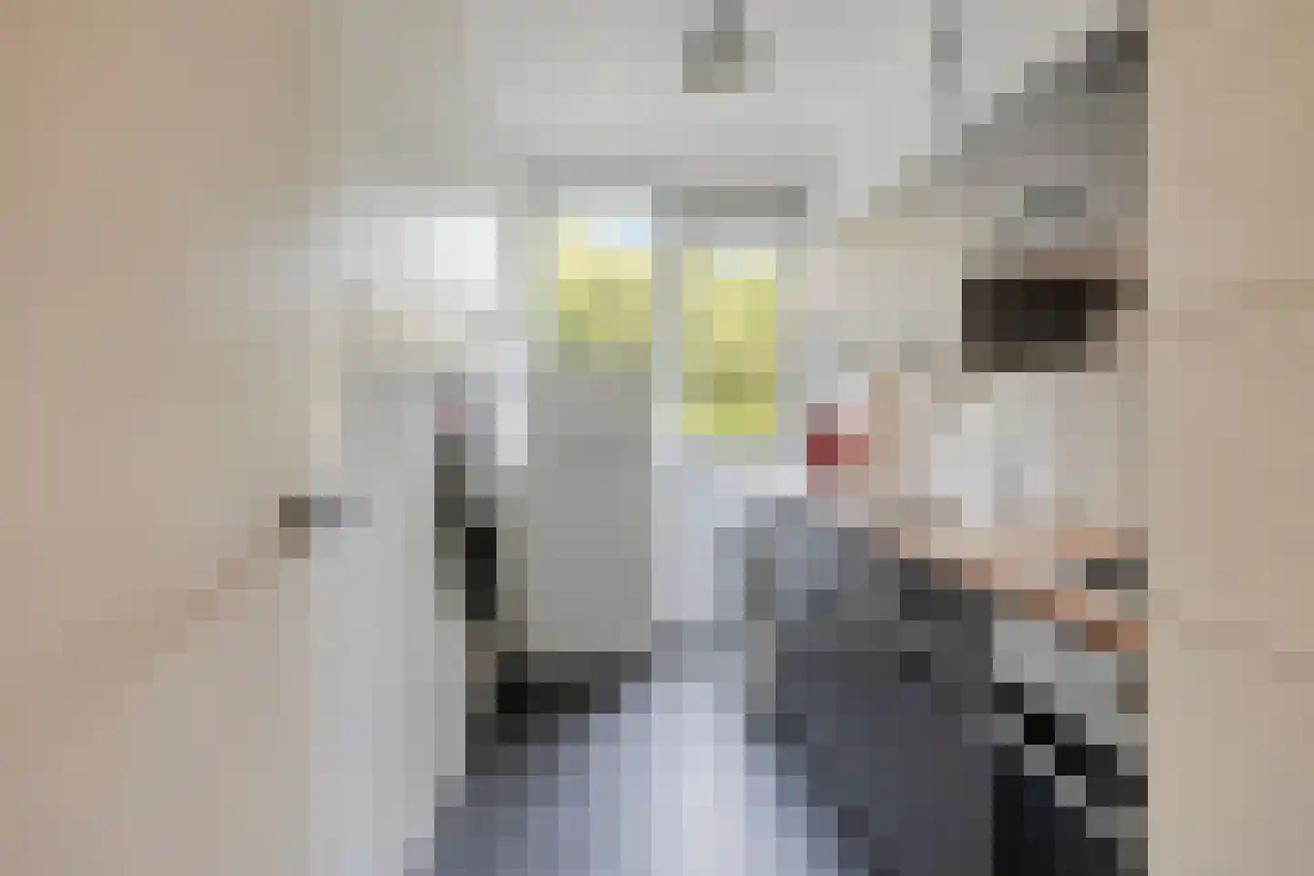 Lucas Gasselstraat 30 Rosmalen thumbnail 8