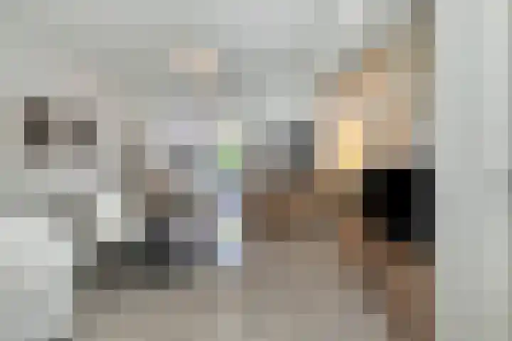 Lucas Gasselstraat 31 Helmond thumbnail 11