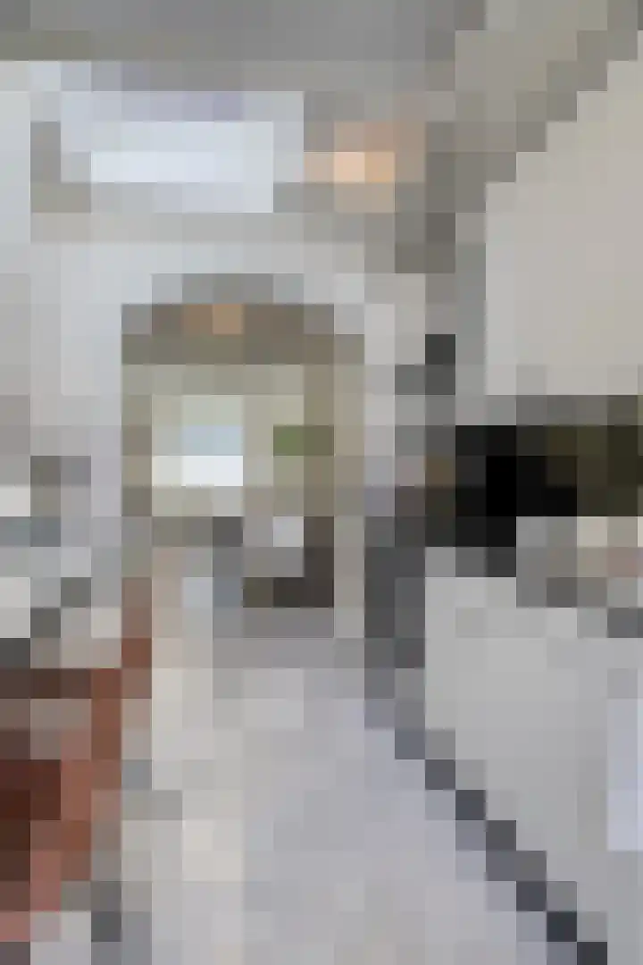Lucas Gasselstraat 31 Helmond thumbnail 16
