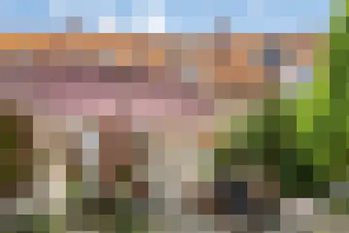 Lucas Gasselstraat 31 Helmond thumbnail 24
