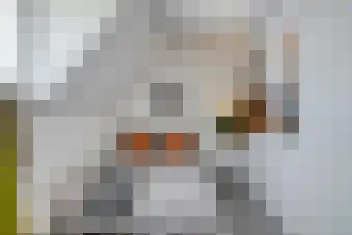 Lucas Gasselstraat 31 Helmond thumbnail 30
