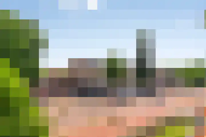 Lucas Gasselstraat 31 Helmond thumbnail 36