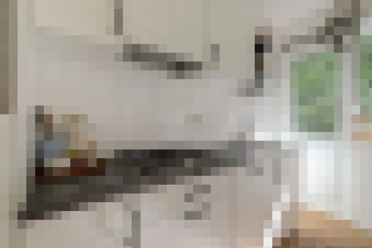 Lucas Gasselstraat 4 Rosmalen thumbnail 11