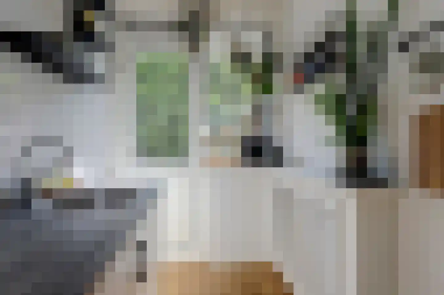Lucas Gasselstraat 4 Rosmalen thumbnail 12