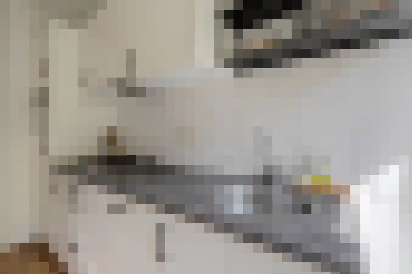 Lucas Gasselstraat 4 Rosmalen thumbnail 13