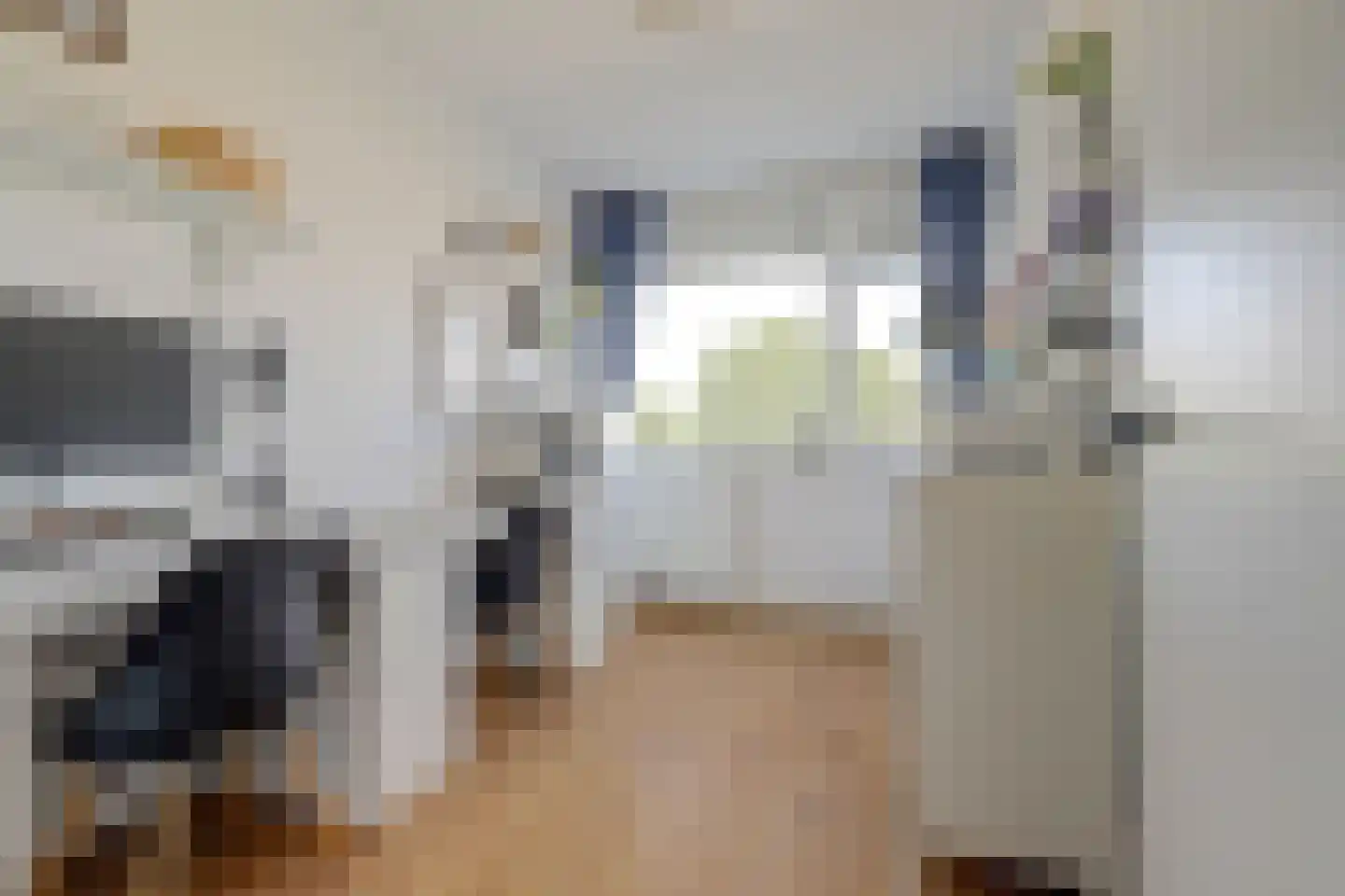 Lucas Gasselstraat 4 Rosmalen thumbnail 15
