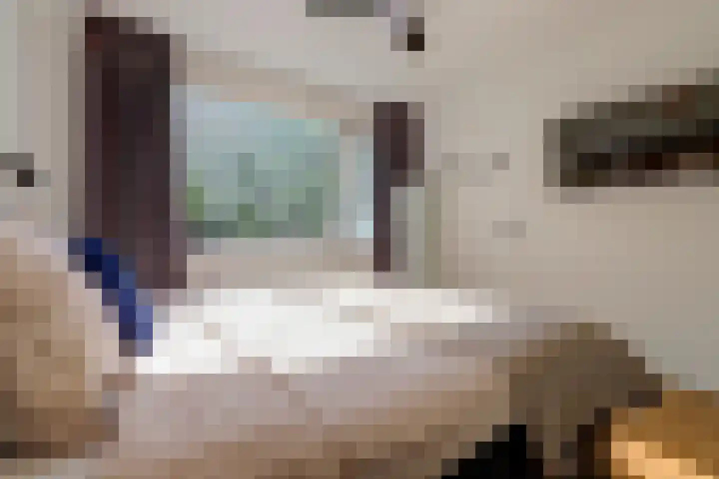 Lucas Gasselstraat 4 Rosmalen thumbnail 19