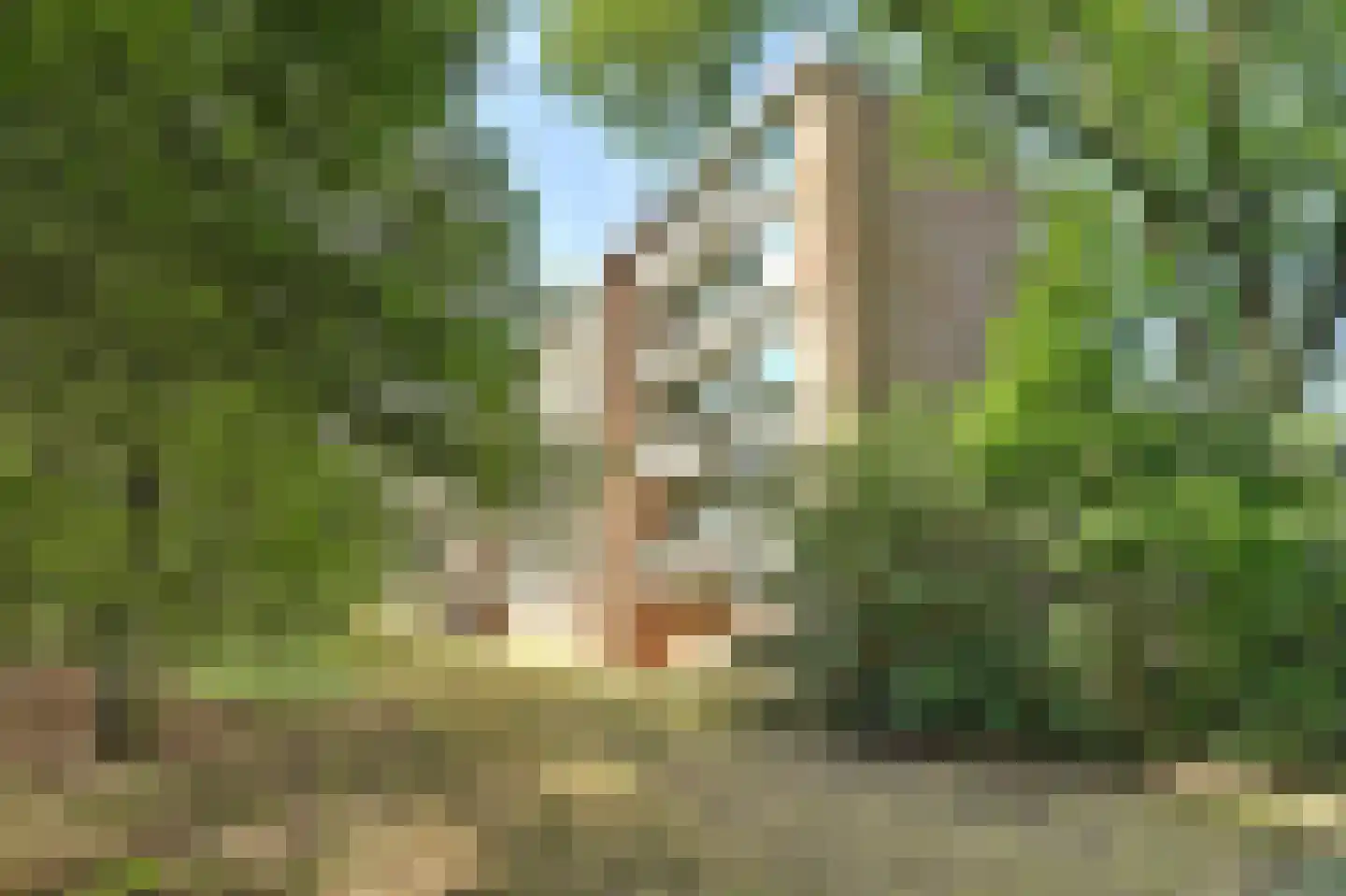 Lucas Gasselstraat 4 Rosmalen thumbnail 30