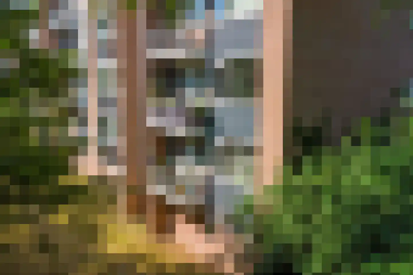 Lucas Gasselstraat 4 Rosmalen thumbnail 34