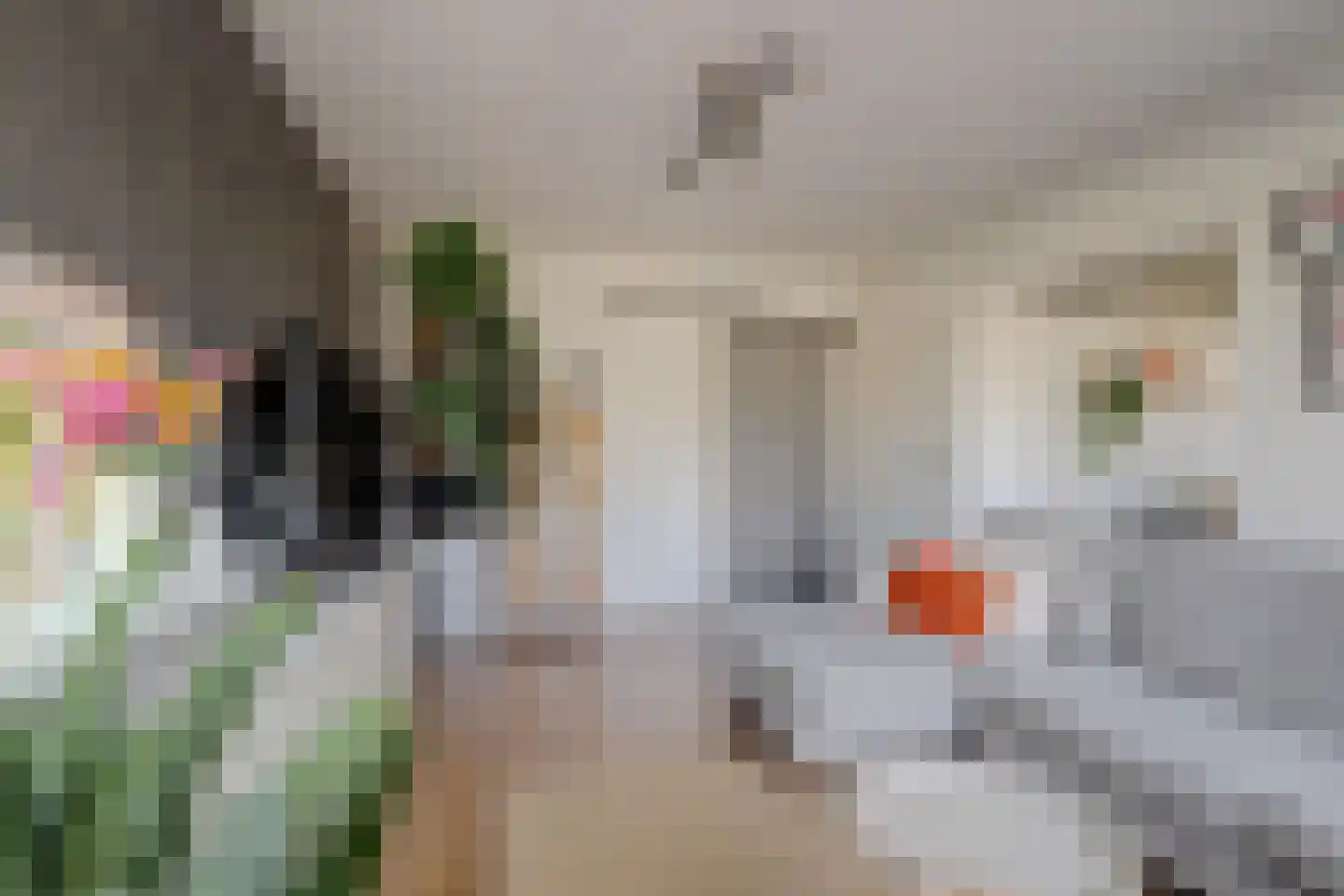 Lucas Gasselstraat 4 Rosmalen thumbnail 4
