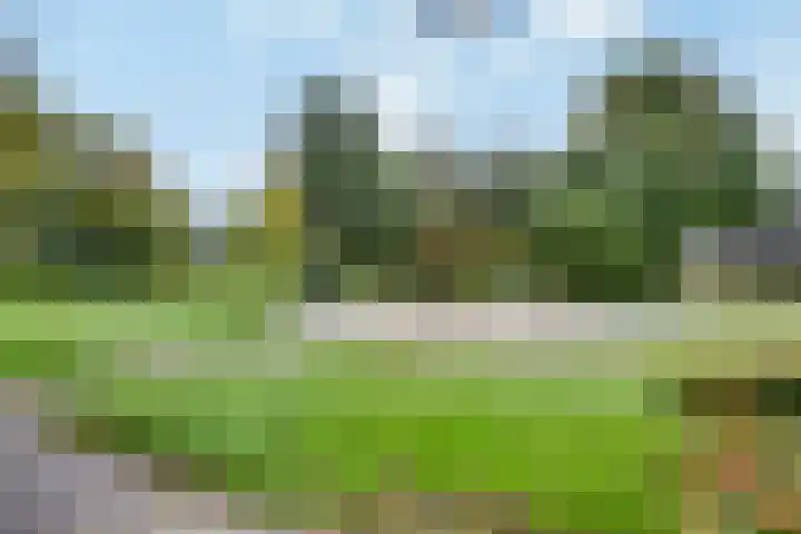 Lucas Gasselstraat 40 Rosmalen thumbnail 22