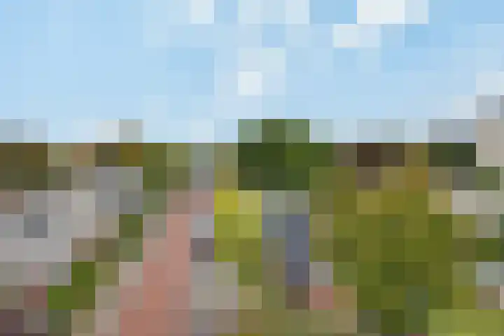 Lucas Gasselstraat 40 Rosmalen thumbnail 7