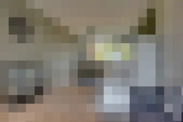 Lucas Gasselstraat 40 Rosmalen thumbnail 8