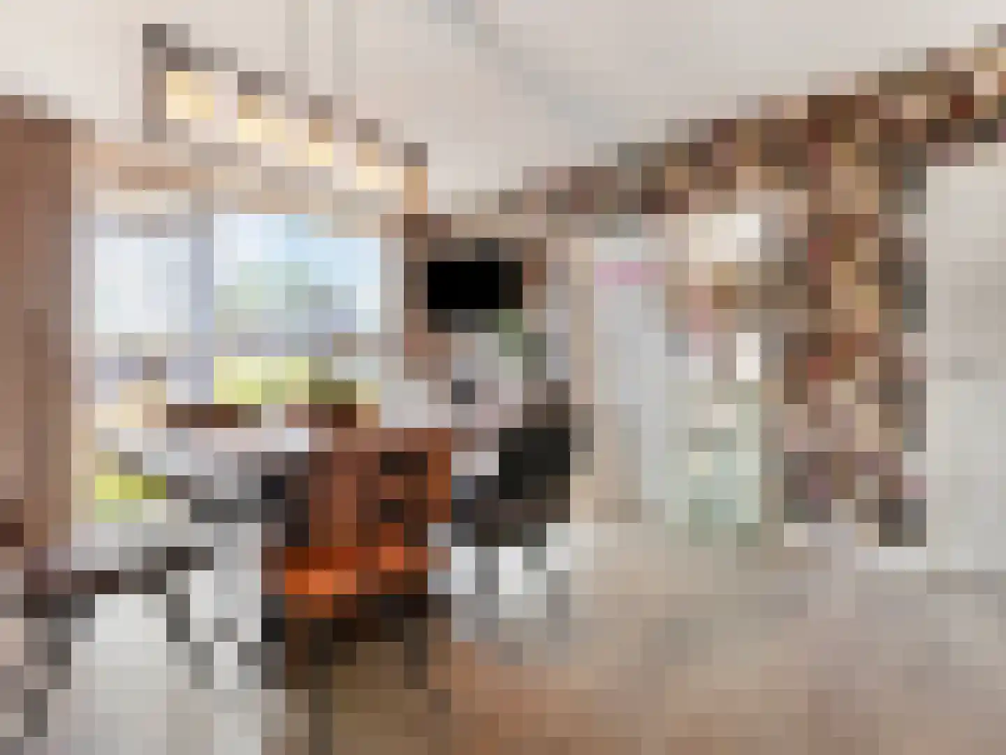 Lucas Gasselstraat 44 Rosmalen thumbnail 14