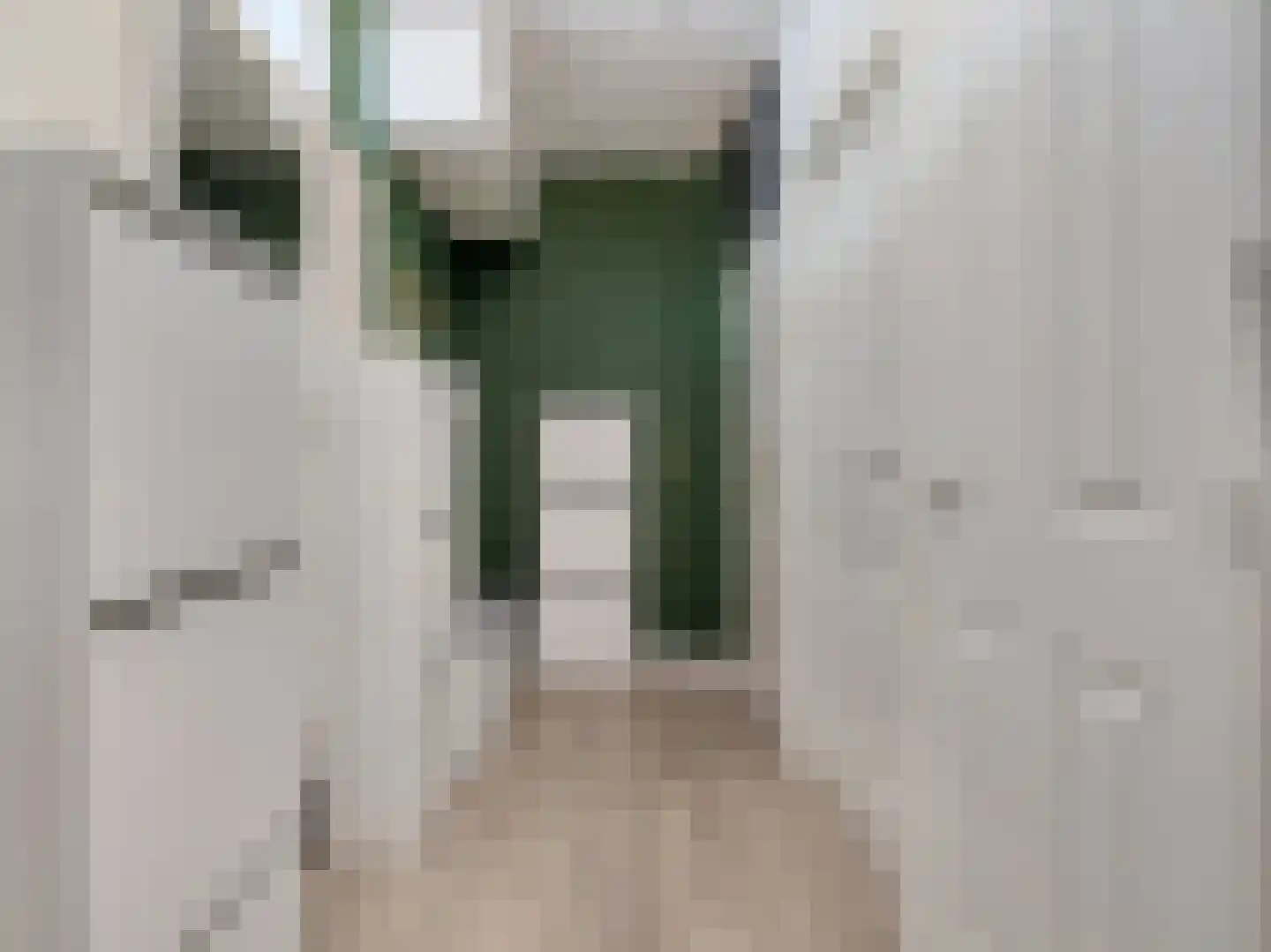 Lucas Gasselstraat 44 Rosmalen thumbnail 15