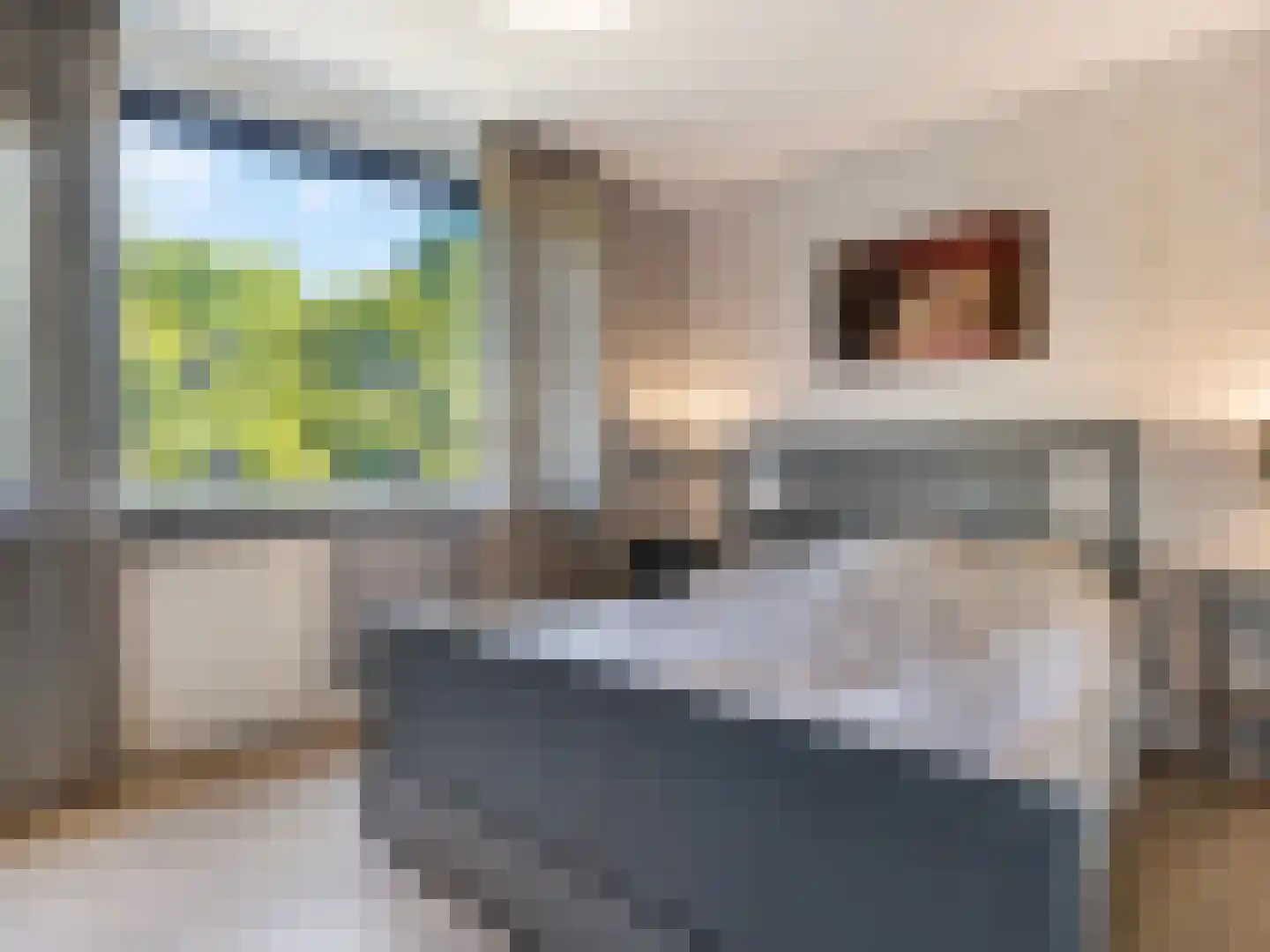 Lucas Gasselstraat 44 Rosmalen thumbnail 16
