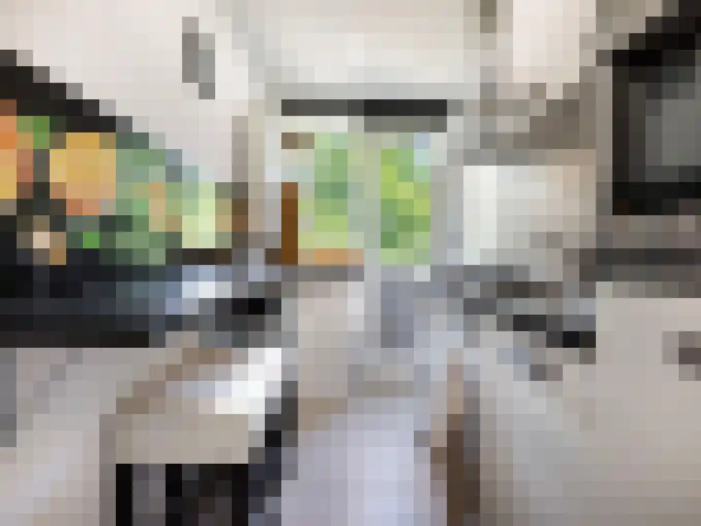 Lucas Gasselstraat 44 Rosmalen thumbnail 22